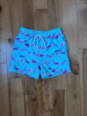 Janie and Jack Aqua Swim Trunks with Pink Flamingo Print